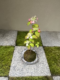 7月のお知らせ