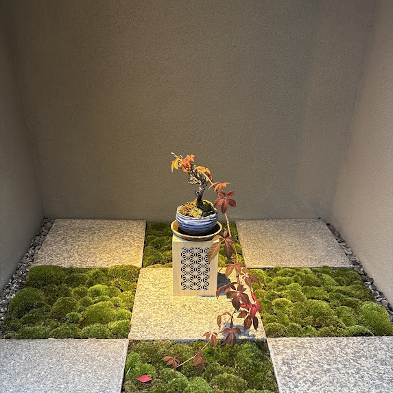 十一月のお知らせ